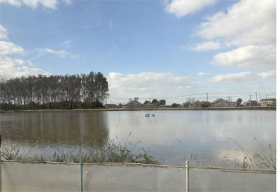 1763013580206863.png 11.png