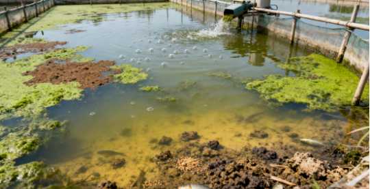 1763946698494704.png 3.png