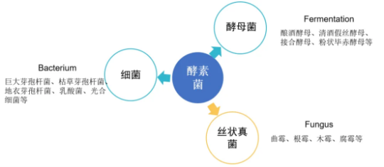 1763946768665579.png 4.png