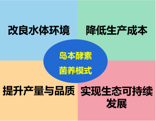 1763946890248805.png 7.png