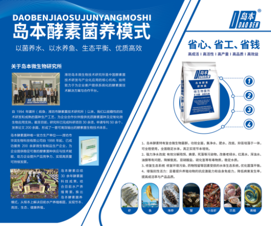 1763946906104001.png 9.png