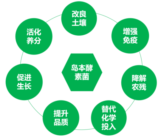 1763948165114277.png 11.png