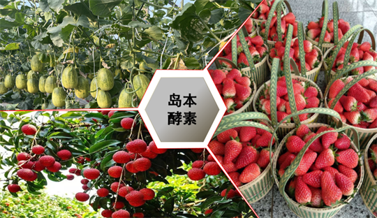 1763948184464877.png 12.png