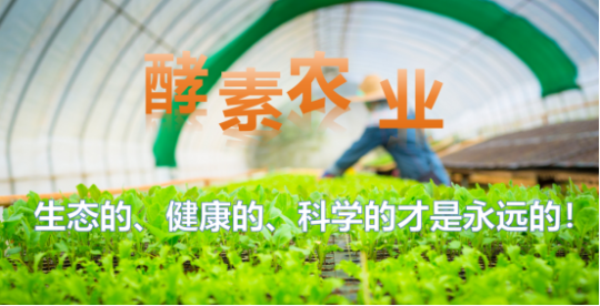 1763948228205035.png 14.png