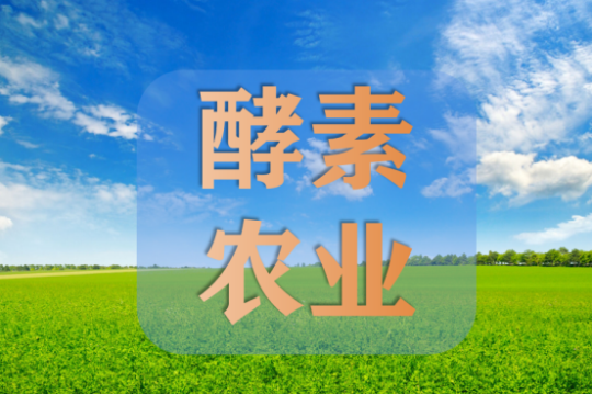 岛本酵素在农业领域的综合作用