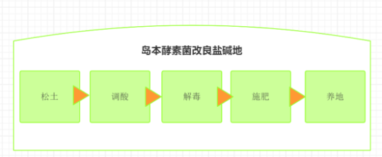 1763950732300002.png 21.png