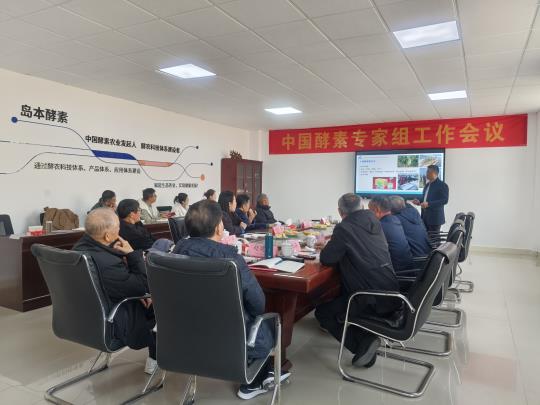 1764744668105570.jpg 3.jpg