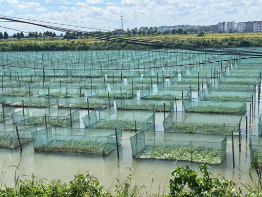 1764747634836693.png 11.png