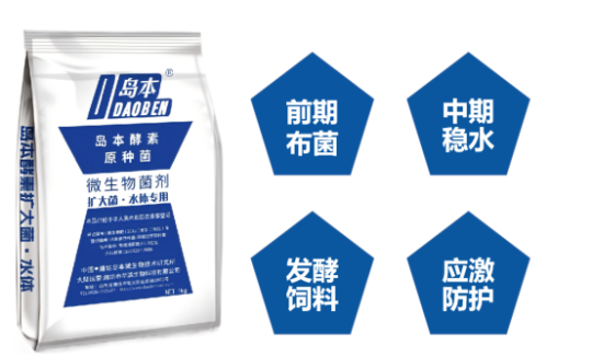 1764747686145285.png 13.png