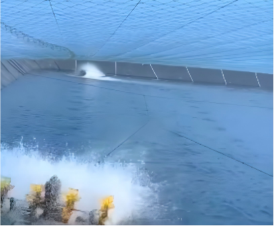 1764748972111438.png 27.png