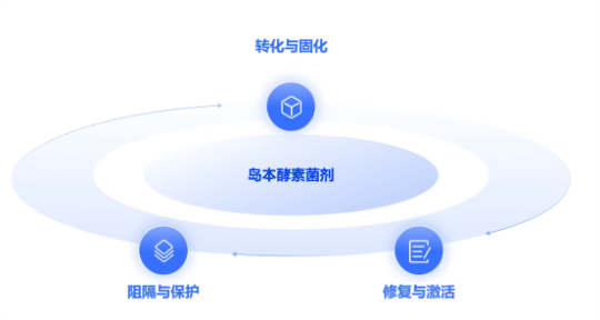 1764749756897999.png 32.png