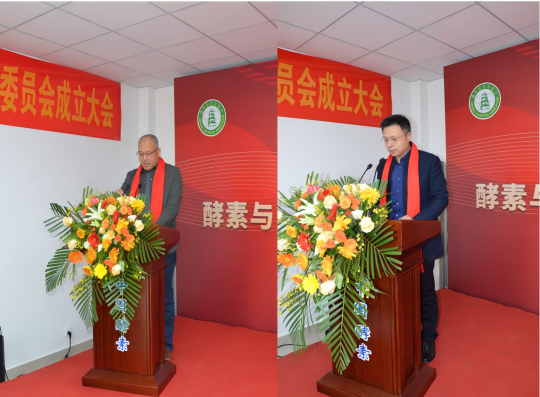 1765848525296802.png 2.png