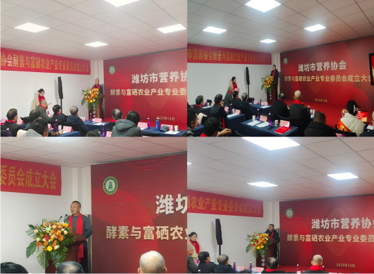 1765848678176971.png 9.png