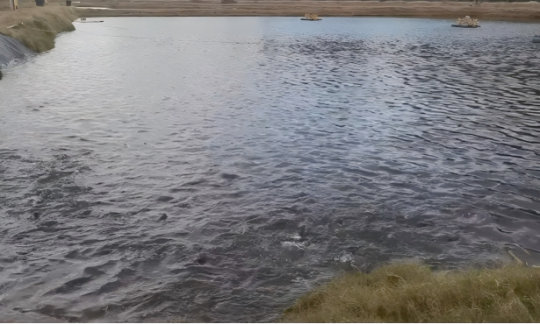 1765854922749118.png 14.png