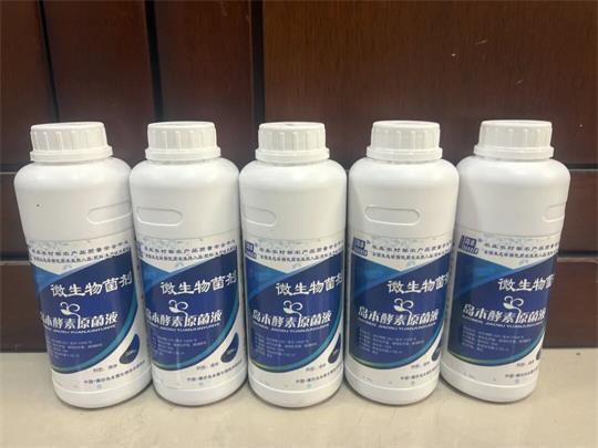 1765855126511833.jpg 12.jpg