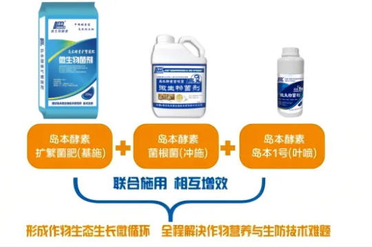 1765866897679872.jpg 00.jpg