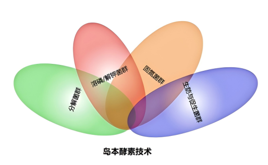 1767055783179200.png 2.png