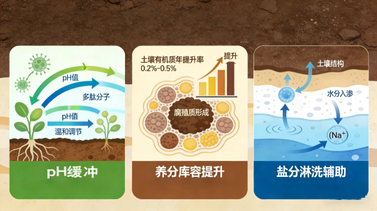 1767055823206995.png 4.png