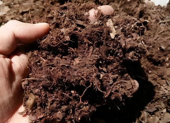 1767055868129605.png 6.png