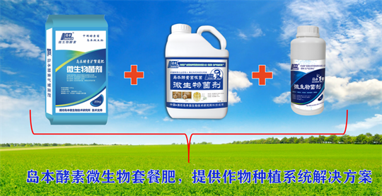 1767055886491769.png 7.png