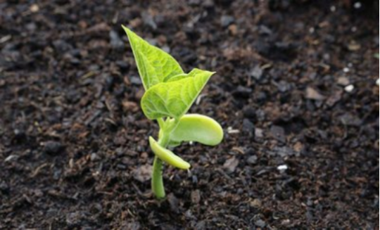 1767055901834362.png 8.png