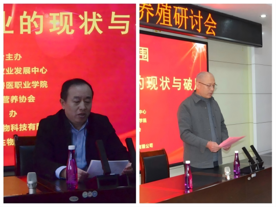 1767056631135330.png 11.png