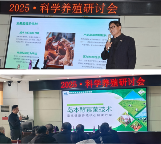 1767056656165478.png 12.png