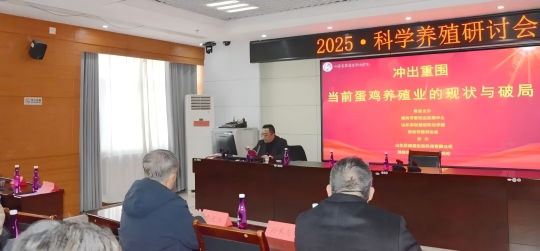 1767056695170696.png 14.png