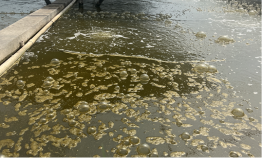 1767059586149223.png 31.png