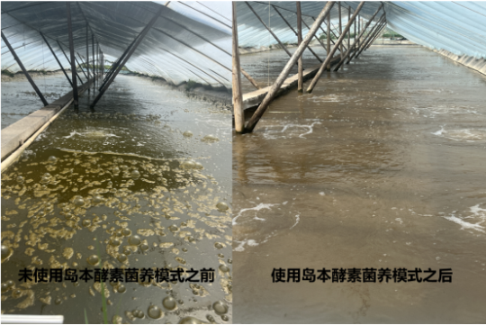 1767064468191259.png 34.png