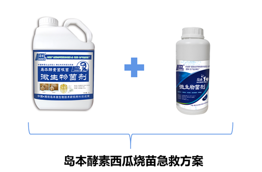 1767087080112532.png 42.png