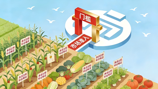 岛本酵素2026品质之年：以有机农法为基，科技赋能品质无界