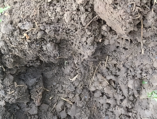 1769131455189428.png gw3(1).png