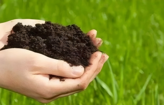 1769131658100492.png gw2(1).png