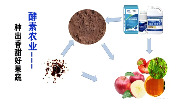 1769132028132162.png gw7(1).png