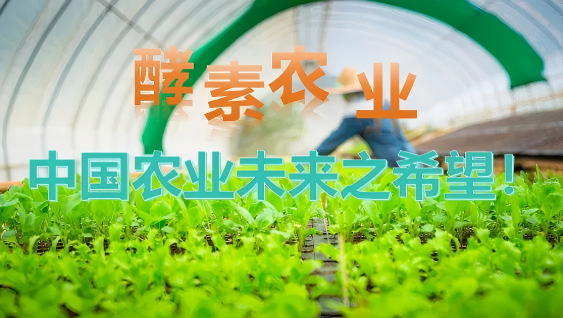 1769132110126851.png gw8(1).png