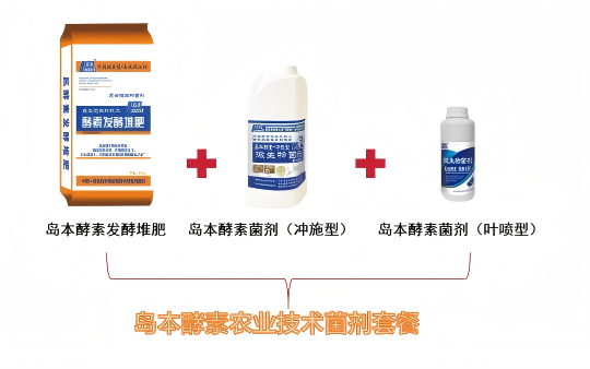 岛本酵素常规栽培，也能实现零药残