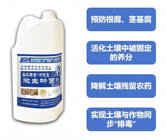 1769137550622396.jpg gw11(1).jpg