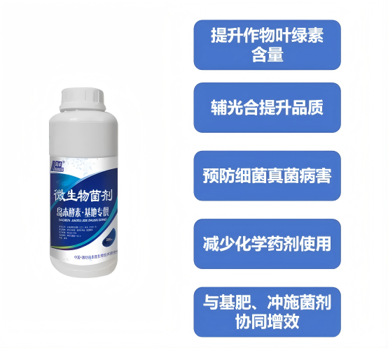 1769137560948116.png gw12(1).png