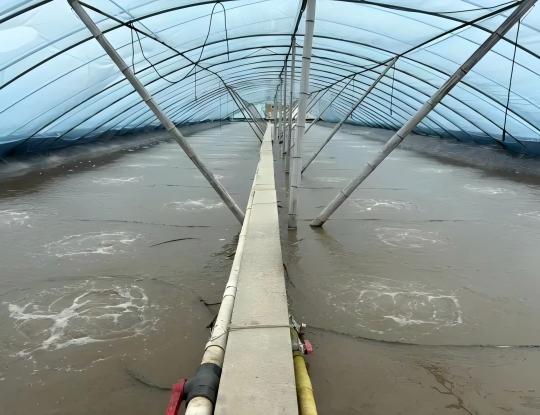 1769138740813652.jpg gw16(1).jpg