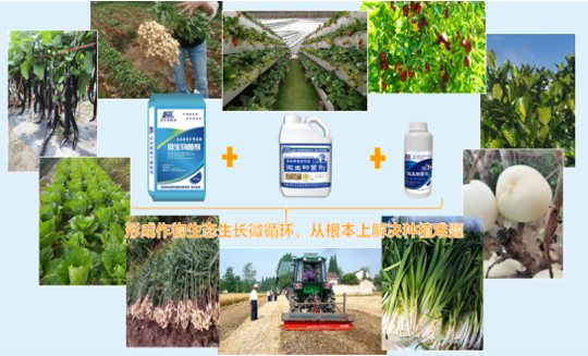 1770710673210399.png 图片6(1).png