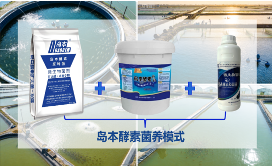 1770710684992821.png 图片7(1).png