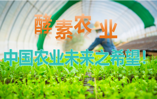 1770710789120810.png 图片11(1).png