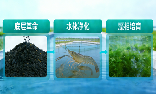 1770711826866831.png 图片21(1).png