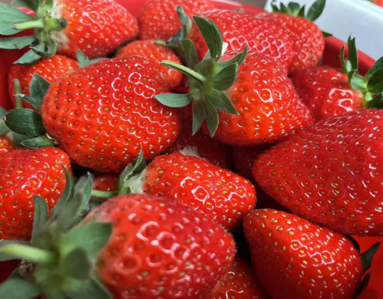 1770712703228376.png 图片26(1).png