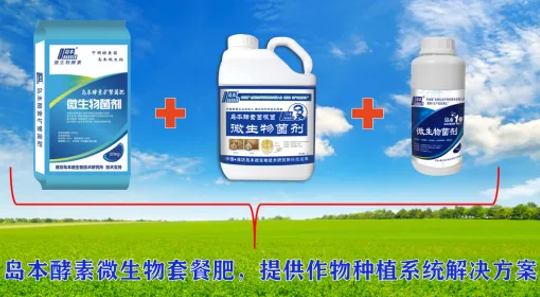 //cdn.myxypt.com/25a318d8/26/03/e2e9f7341d9a73c03bd1061451e29d02ced37193.png 图片7(1).png