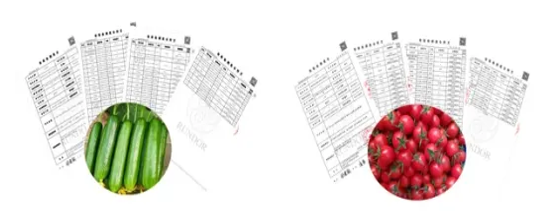 //cdn.myxypt.com/25a318d8/26/03/1e4cd3df7db20141a8cc50d537bd279f9f320fa9.png 图片9(1).png