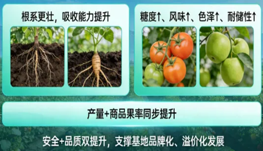 //cdn.myxypt.com/25a318d8/26/03/1ec32d85c044026cdce9080919adb26fecd565f7.png 图片10(1).png