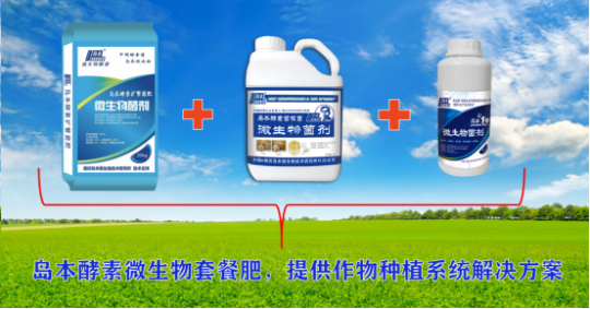//cdn.myxypt.com/25a318d8/26/05/5fc056a2b6685585cc00988af25f3c940ee8c7cf.png 19.png