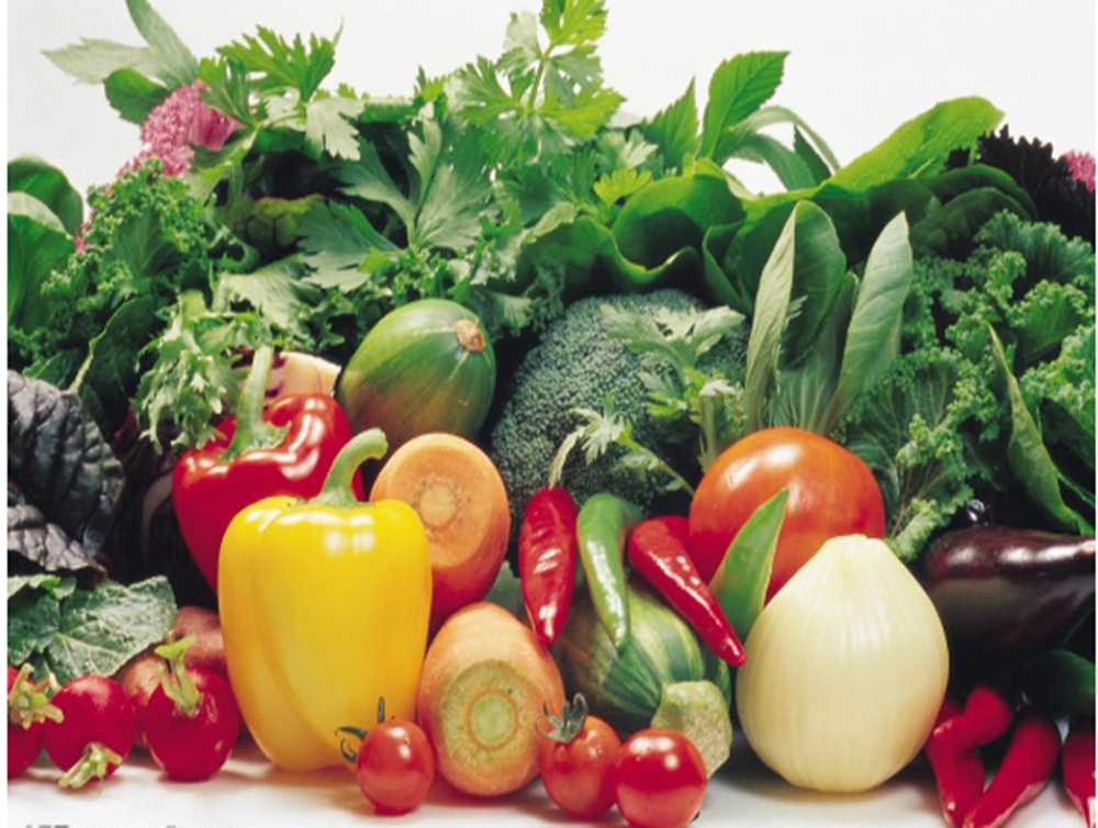 酵素农业技术：酵素菌肥在反季节瓜类蔬菜病害防治上的应用